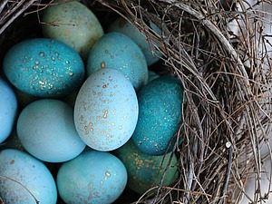 Красим пасхальные яйца 385065