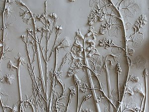 Волшебные гербарии Рейчел Дейн | Ярмарка Мастеров - ручная работа, handmade