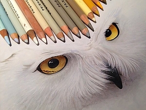 Невероятно реалистичные карандашные рисунки от Карлы Миалинн | Ярмарка Мастеров - ручная работа, handmade