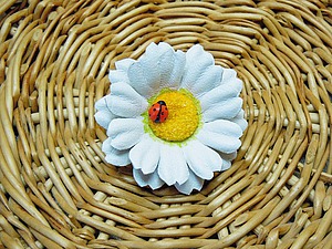         |   -  , handmade