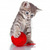  (  ) -   -  , handmade