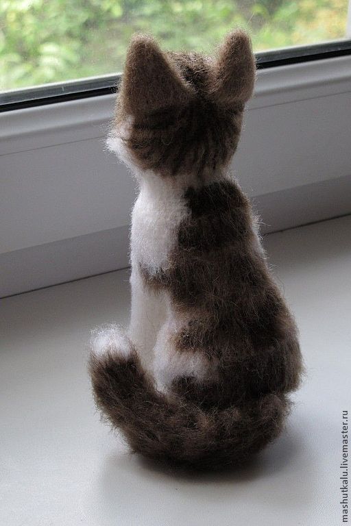 Картинки связаны с котом Картинки связаны с котом