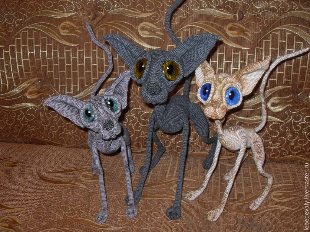 Кот сфинкс связать Кот сфинкс связать