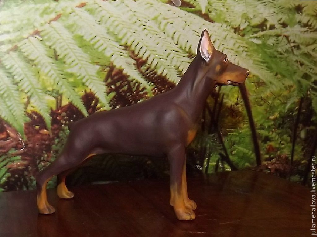 http://cs1.livemaster.ru/storage/ac/fd/33208c01429533bd48890080a3cv--kukly-i-igrushki-doberman.jpg