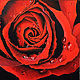 картина маслом "Роза"