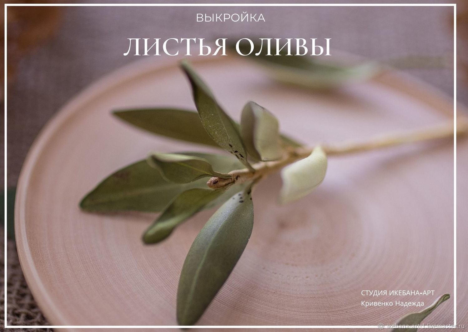 Листья Оливы Купить В Аптеке