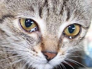 я в бешенстве картинки я в бешенстве картинки