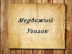 Магазин временно не работает | Ярмарка Мастеров - ручная работа, handmade