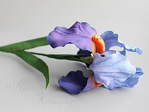 Ирисы из фоамирана Ирисы из фоамирана