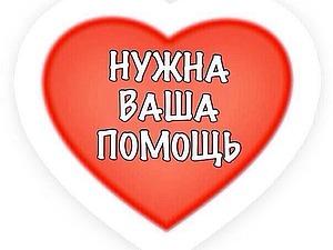 Срочно!!! Нужна помощь Мастеру Анжелике Добренчук!!! | Ярмарка Мастеров - ручная работа, handmade