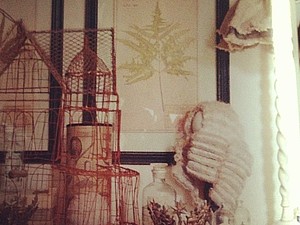 Новая летняя коллекция