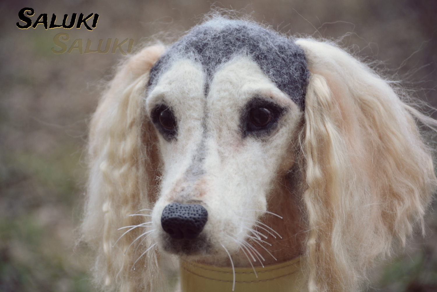 Мой профиль