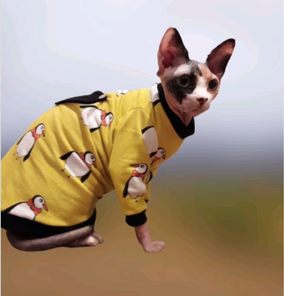 Clothing for cats 'Penguins', Pet clothes, Biisk,  Фото №1