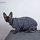 Мастер-класс по вязанию бесшовного свитера для взрослой кошки. Мастер-классы. ClothesForCat. Ярмарка Мастеров.  Фото №4