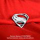 Заказать Значок брошь СУПЕРМЕН ЧЕЛОВЕК ИЗ СТАЛИ SUPERMAN pin badge brooch. WiLiJe: WildLife Jewelery. Ярмарка Мастеров. . Значок Фото №3