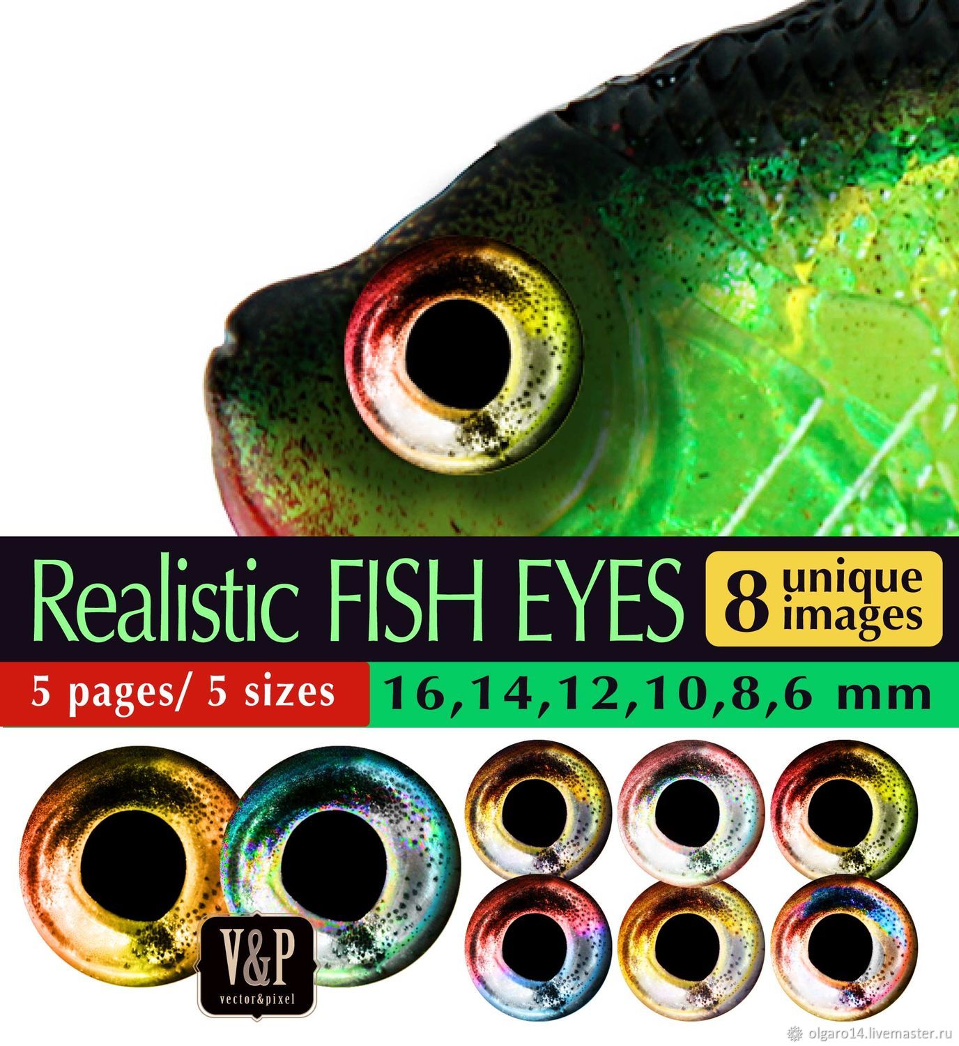 Четырехглазые опистопроктовые рыбы используют в глазах зеркала