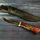 Knife handmade Hawk, forged steel 95h18, Knives, Moscow,  Фото №1