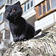 Котенок из шерсти  Уголек :)
