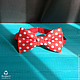 Tie Mickey / bow tie red large white dots. Ties. Respect Accessories. Online shopping on My Livemaster.  Фото №2