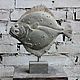 Заказать Скульптура рыбы «Камбала». Artceh-77. Ярмарка Мастеров. . Скульптуры Фото №3