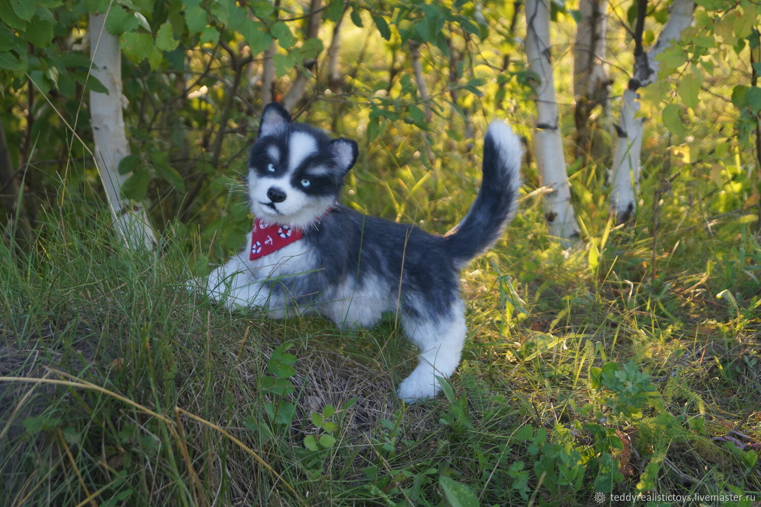 Щенок хаски Макс