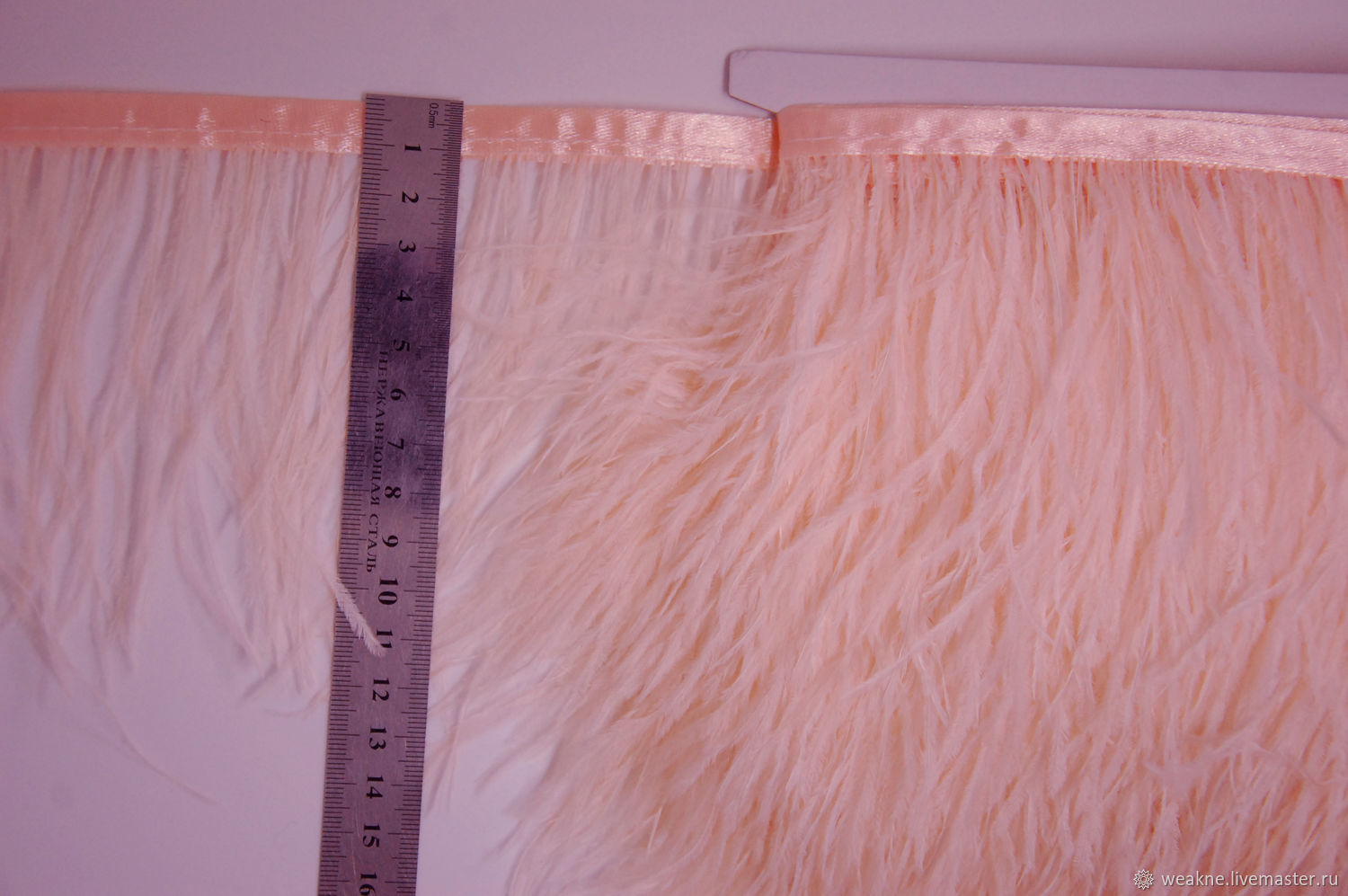 peach ostrich feathers