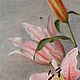 Картина акварелью Лилия, живопись розовый серый. Картины. Юлия Рустамьян (Julrust). Ярмарка Мастеров.  Фото №4