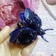 Brooch Large beetle. Brooches. Beauty for you!. My Livemaster. Фото №4