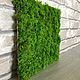 Panel made of stabilized moss 30*30 grade ' Extra '(pruning). Design. Антонина Литовкина - Озеленение (Планета Флористики). My Livemaster. Фото №5