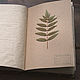 Album for herbarium Fern forest (A4, for 30 plants). Photo albums. Albums and notebooks (Anna). My Livemaster. Фото №5