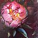 Oil painting Pink peonies on a dark background. Interior PEONIES. Pictures. Zabaikalie. My Livemaster. Фото №4