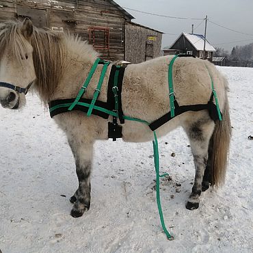 Kарабины для лошадей