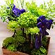 Композиция "Ванда"из живых цветов. Авторская работа. Композиции. DARK FLORIST Флористика Декор ЦВЕТЫ. Ярмарка Мастеров.  Фото №5