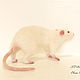 White rat. Felted Toy. SoftToysByElenaArt. Online shopping on My Livemaster.  Фото №2