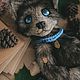 Волк Аксель игрушка тедди. Мягкие игрушки. Ольга Веселова «Mi-Mi Toys». Ярмарка Мастеров.  Фото №5