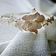 Свадебный ободок с бабочками, Диадема для невесты, Лондон,  Фото №1