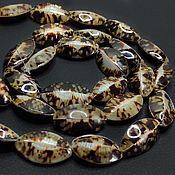 Материалы для творчества handmade. Livemaster - original item Four-sided beads shell Cellana testudinaria 28h17mm. Handmade.