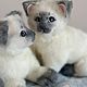 Котёнок. Мягкие игрушки. Мария Евич. Ярмарка Мастеров.  Фото №7