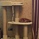 Order House for cats Oval to buy. The complex is suitable for large cats. Workshop for dogs and cats. Livemaster. . Scratching Post Фото №3