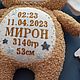 Овечка. Мягкие игрушки. Елизавета (marylizz). Интернет-магазин Ярмарка Мастеров.  Фото №2