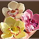 Орхидеи на зажиме. Заколки. Лилия Макарова. Интернет-магазин Ярмарка Мастеров.  Фото №2