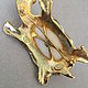Заказать Винтаж: KJL   Черепаха. JEWELRY VINTAGE (jjewelryvintage). Ярмарка Мастеров. . Броши винтажные Фото №3