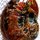 Ammonites (ancient large mollusks) Madagascar. Cabochons. Stones of the World. Online shopping on My Livemaster.  Фото №2