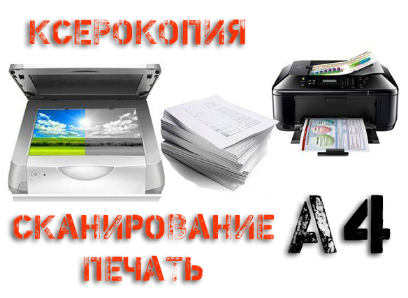 Мой профиль