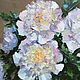 Author's painting ' Peonies for comfort». Pictures. Svetiten. Online shopping on My Livemaster.  Фото №2