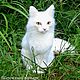 Кот Ромашка / валяный из шерсти белый котик / Cat white. Войлочная игрушка. Шерстяной Зоопарк Наталья Львова. Интернет-магазин Ярмарка Мастеров.  Фото №2