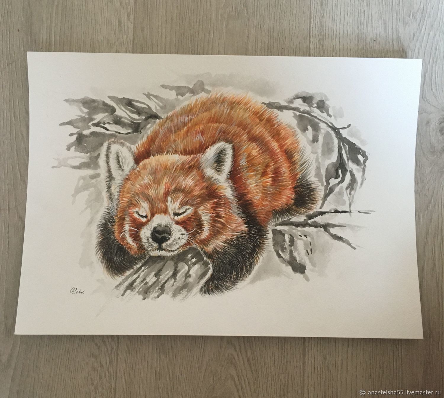 Red panda картины по номерам