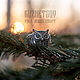Owl owl ring, Rings, Kostroma,  Фото №1