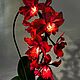 Order Flower-night light of the orchid 'Barberry'. Elena Krasilnikova. Livemaster. . Table lamps Фото №3