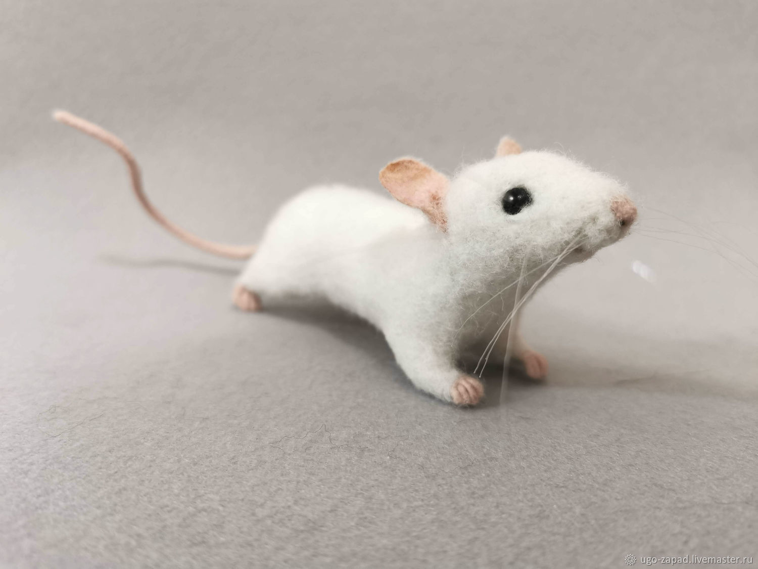 Маленькие живые мышки. Белая мышка. Маленькая белая мышь. Белая декоративная мышь. Мышка белая домашняя.